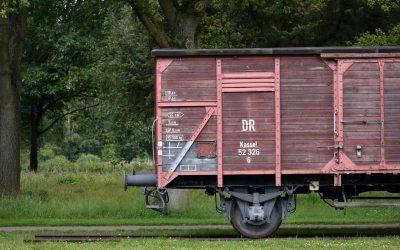 ries-bosch-JEFp6DF-5-g-unsplash