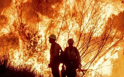 thumbnail_1736728224281blob