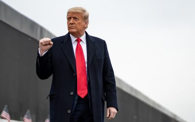 50831333198_4ef5ced86c_k