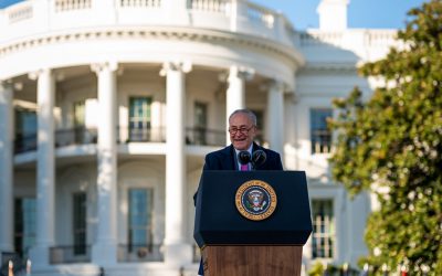 51685197415_bd0d9d60b1_c