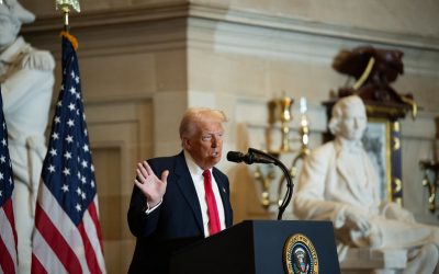 54326068955_9cb21a104c_c