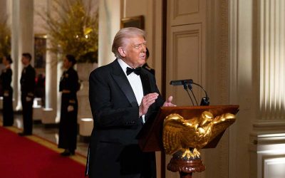 54349197238_46923f5223_k