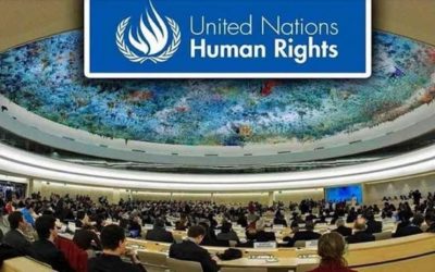 Lurie human rights