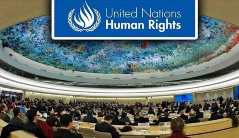 Lurie human rights
