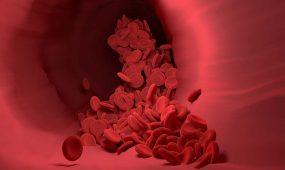 red-blood-cells-4256710_1280