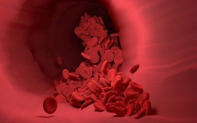 red-blood-cells-4256710_1280