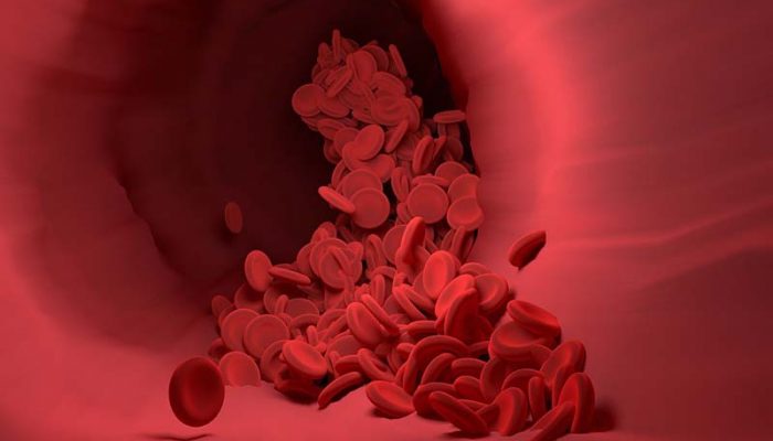 red-blood-cells-4256710_1280