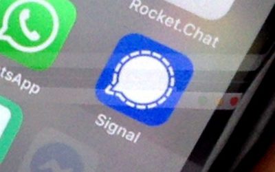 50534017012_2cfe0bb198_o