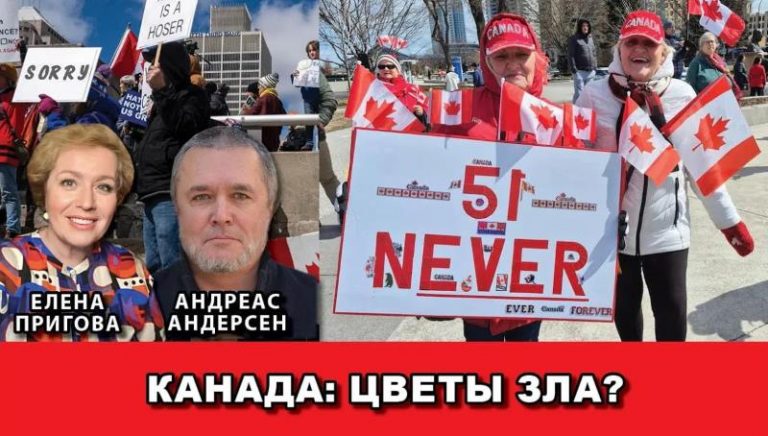 51 never