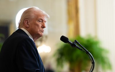 54356270649_bca566c236_k