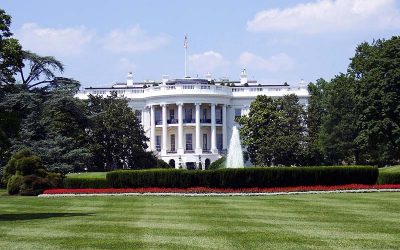 administration-1846270_1280