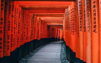 lin-mei-NYyCqdBOKwc-unsplash
