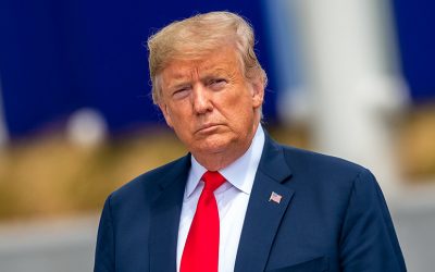 43295441252_4518553ccb_k