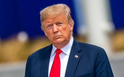 43295441252_4518553ccb_k