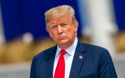 43295441252_4518553ccb_k