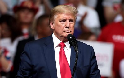 49567609682_f032fe2f00_c