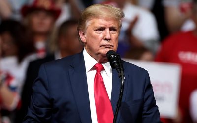 49567609682_f032fe2f00_c