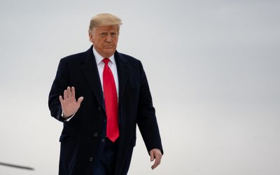 50832078876_072e9cd6ec_c