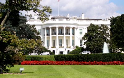 9976953264_ce7d61b861_c