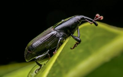 henry-lai-UfQ7_wEtocU-unsplash