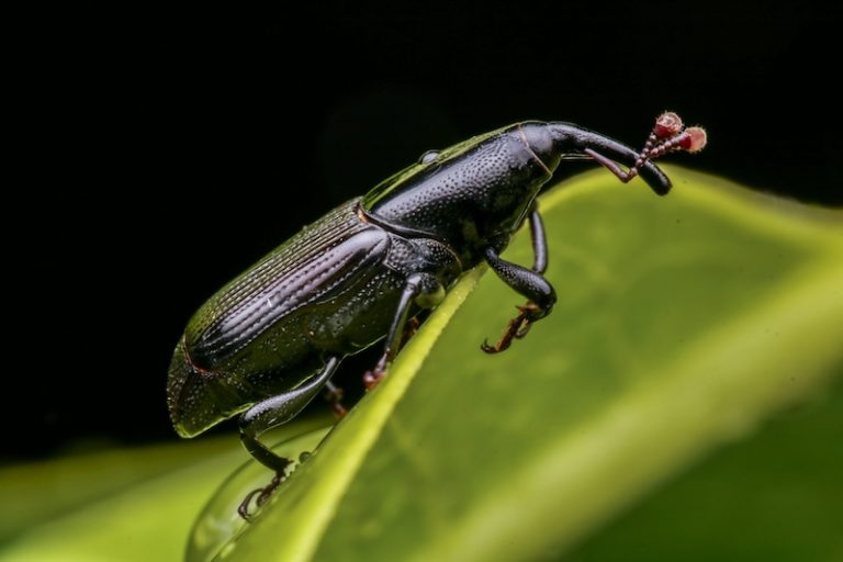 henry-lai-UfQ7_wEtocU-unsplash