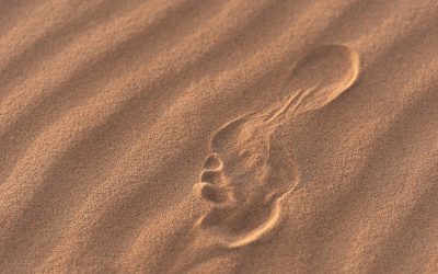 jf-martin-uDAi4rri368-unsplash