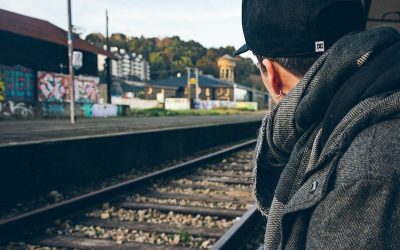 david-vilches-lj-cCPj_F5U-unsplash