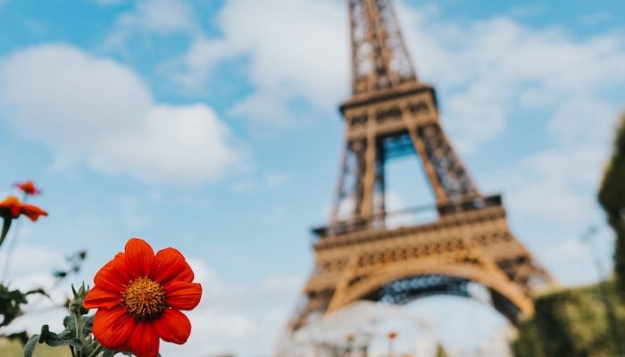 dex-ezekiel-EobQaSfI-EY-unsplash