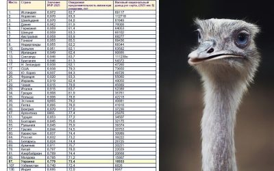 ghznfnmcz rfr ostrich