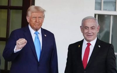 Shlomo Filbert 17