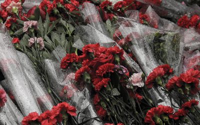 victory-day-939179_1280