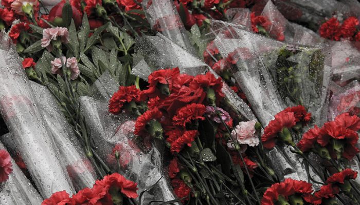 victory-day-939179_1280