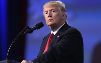 32984155372_356bc301de_c