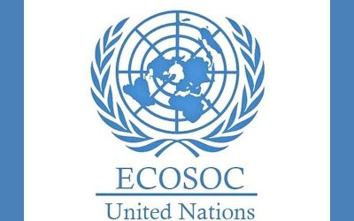 Ecosos lurie 11