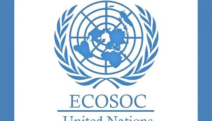 Ecosos lurie 11