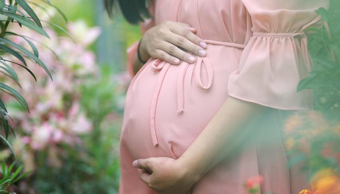 pregnant-6178270_1280