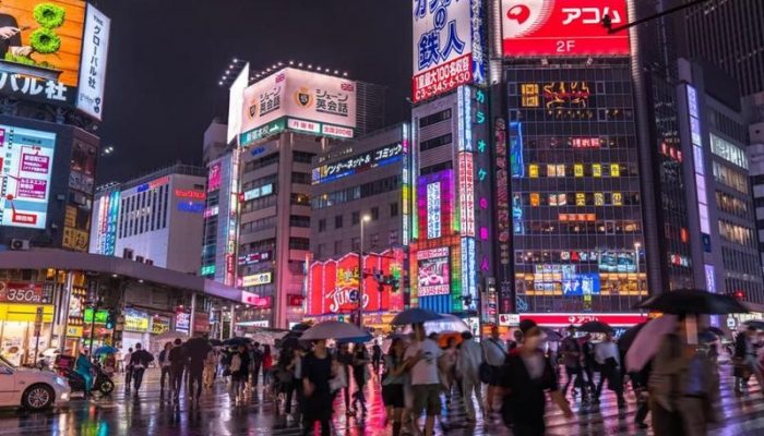 tokio under plum rain