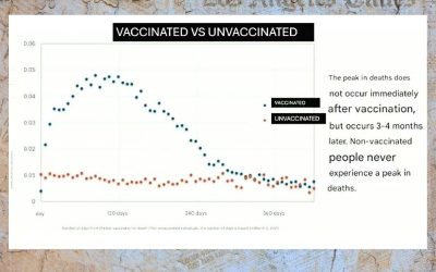 vaccinated-unvaccinated 19