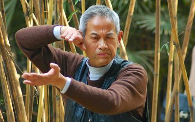 chinese-2481638_1280