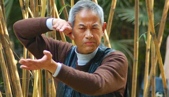 chinese-2481638_1280