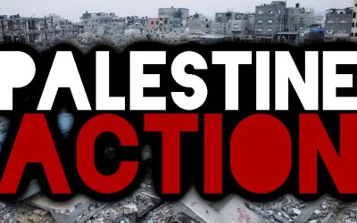 palestine acrion jul 12
