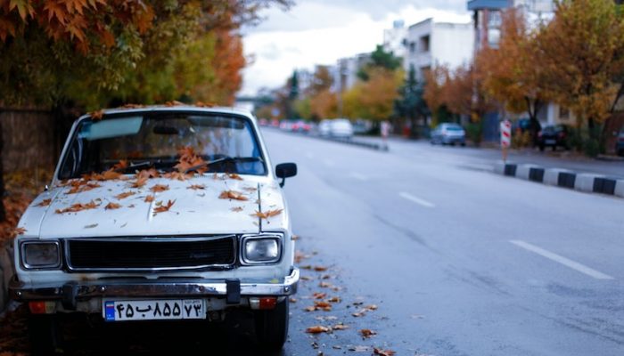 foroozan-faraji-R02XJ8epno4-unsplash