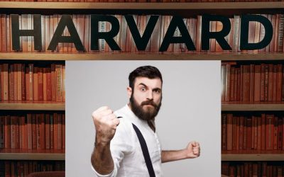 harvard dem angry