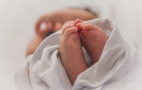 luma-pimentel-1vnB2l7j3bY-unsplash