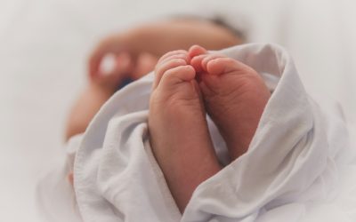 luma-pimentel-1vnB2l7j3bY-unsplash