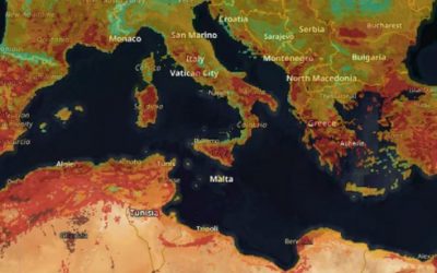 melamed 1 aug 16 25