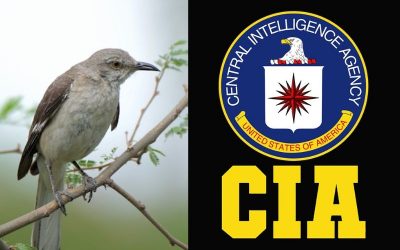 mocking bird cia