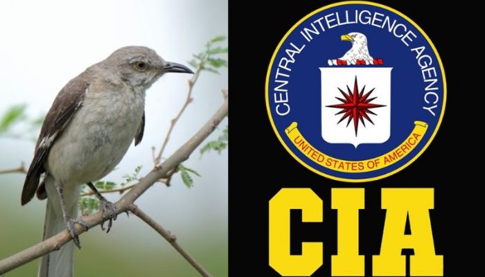 mocking bird cia