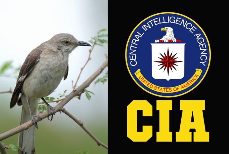 mocking bird cia