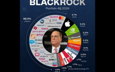 black rock portfolio